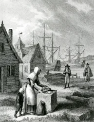 The Waterman